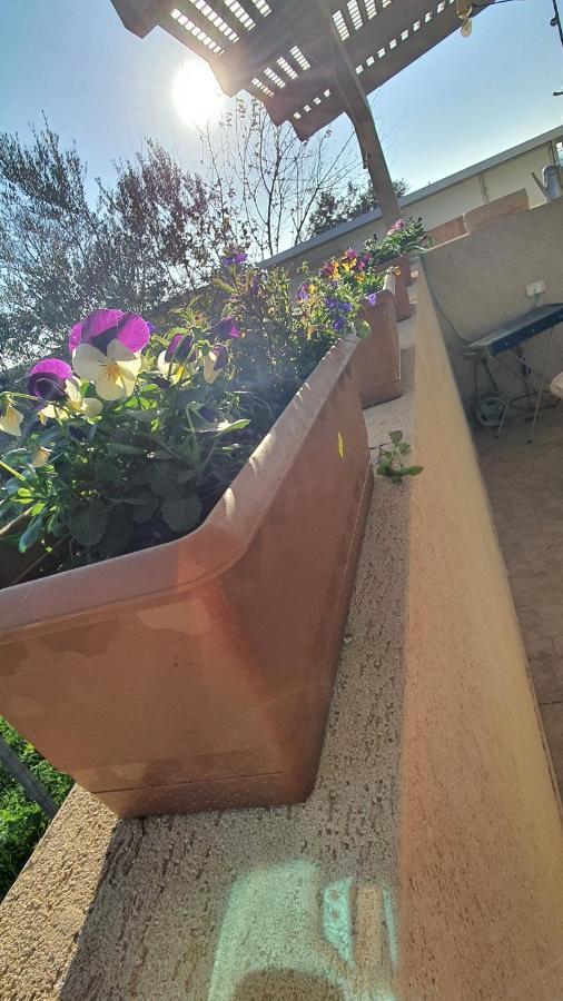 B Resort דירת נופש בדרום רמת הגולן Giv'at Yo'av Exterior foto